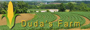 Duda's Farm logo