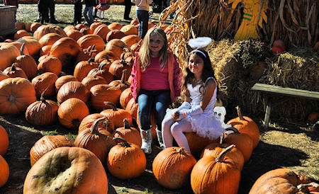 Pumpkin Fun at Duda's Farm