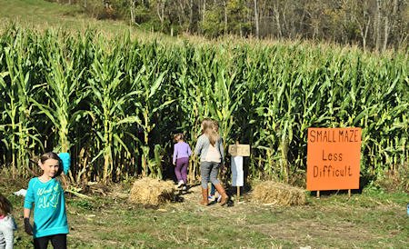 Corn Mazes at Duda's Farm