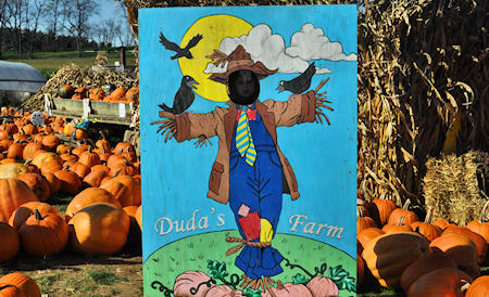 Picture yourself at Duda's Farm