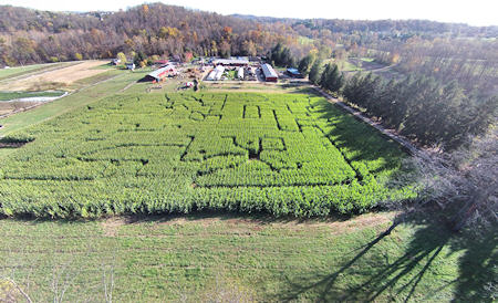 Corn Mazes at Duda's Farm