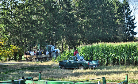 Hay Rides at Duda's Farm
